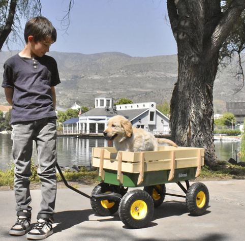 CARRITO DE ARRASTRE WAGON VERDE KIDSCOOL-4