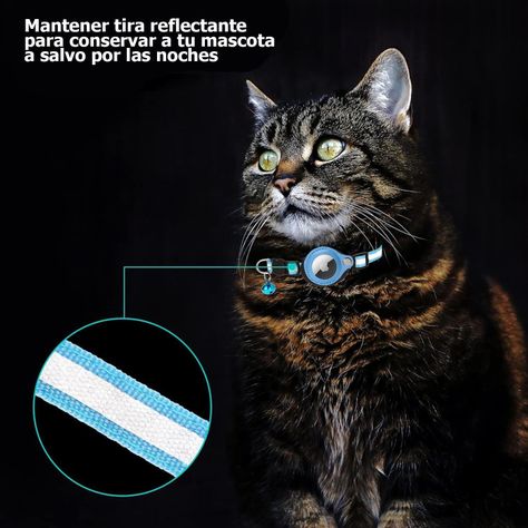 Collar Con Sonaja Para Gatos Airtag Antipérdida -4
