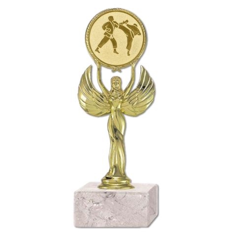 Trofeo Galardon KARATE Eventos o competencia my01-0
