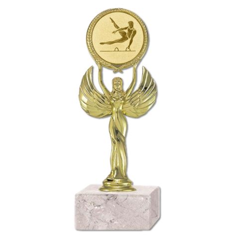 Trofeo Galardon GIMNASIA POTRO Eventos o competencia my07-0