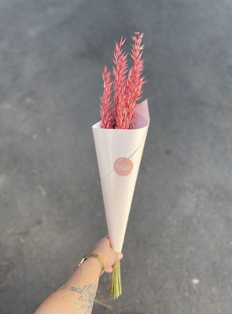 Flores Secas- Avena Rosada-0