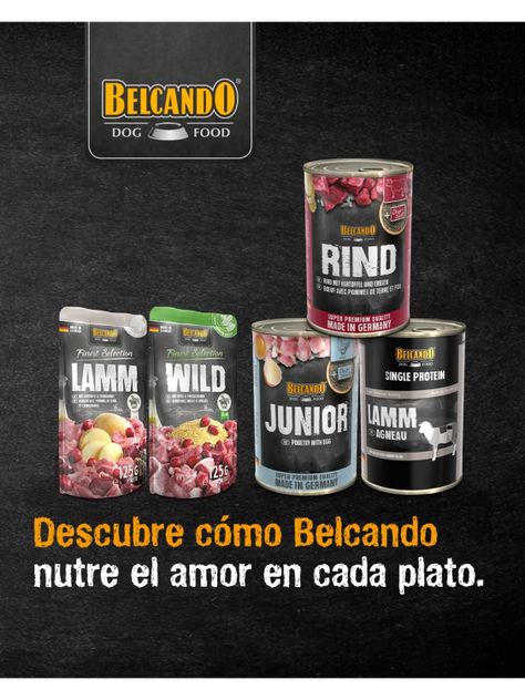 Alimento Belcando Cachorro Junior Sabor Ave Y Huevo - Lata 400 Grs-2