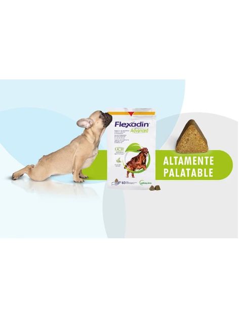 Flexadin Advanded 60 unidades-2
