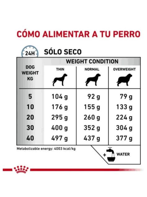 ALIMENTO ROYAL CANIN ANALLERGENIC CANINE 8KG-1