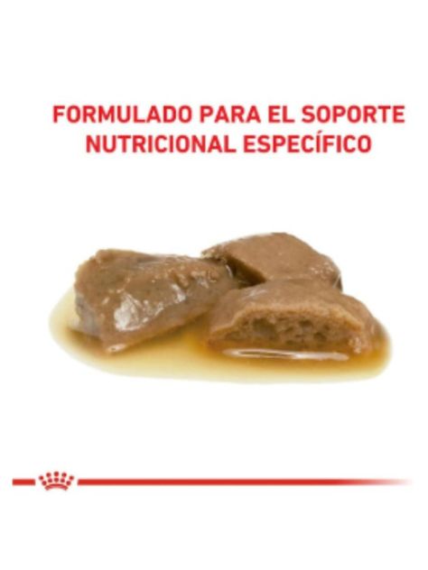 Royal Canin pouch Renal Gato 85g (12 unidades)-4