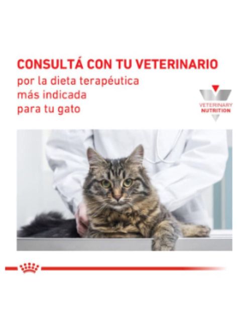 Royal Canin pouch Renal Gato 85g (12 unidades)-7