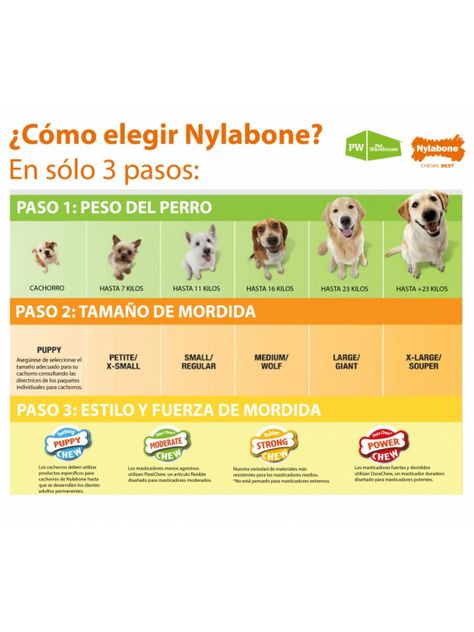 Nylabone Cono 3 en 1 Rellenable Sabor Tocino - 16 kG-1