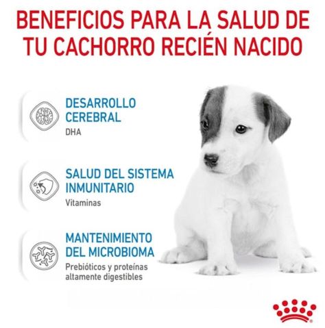 Alimento Royal Canin Baby Dog Milk 400 Gr - Leche para Perros-2