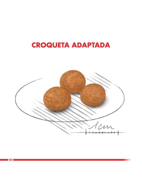 Alimento Royal Canin X-Small Adulto 2.5 Kg-5
