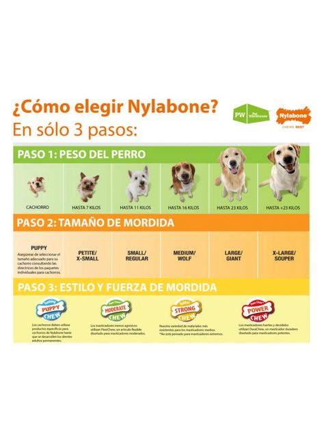 Cono Nylabone Sabor Tocino Para Perros Talla L Hasta 23 kg-1