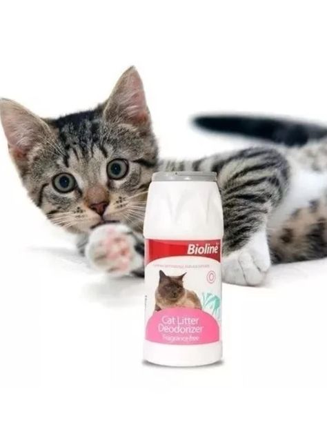 Talco Desodorante Arena Sanitaria Gatos Elimina Olores 425gr-1