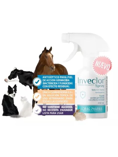 SOLUCION TOPICA ANTISEPTICA INVECLOR SPRAY CLORHEXIDINA 250-1