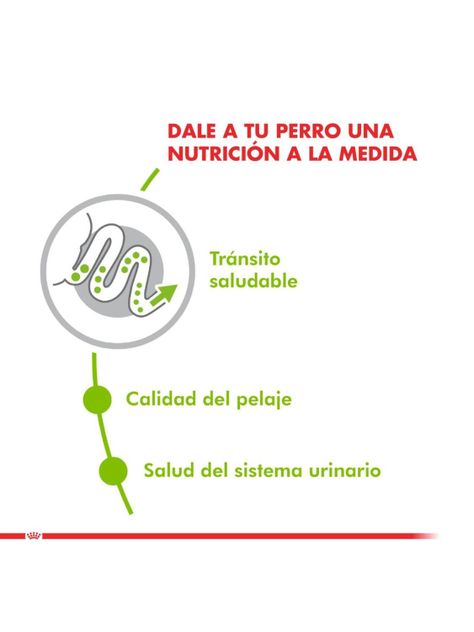 Alimento Royal Canin X-Small Adulto 1 Kg-2