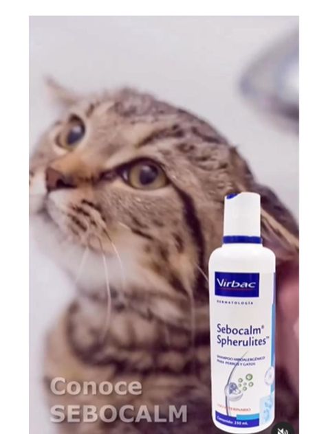 Shampoo Sebocalm Spherulites Hipoalergénico 250ml - Virbac-2