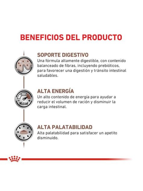 Alimento Royal Canin Gastrointestinal Para Gato Adulto - Lata De 145g-1