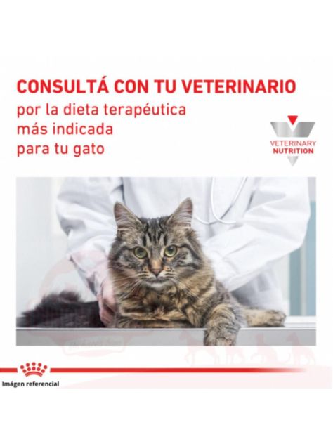 Alimento Royal Canin Gastrointestinal Para Gato Adulto - Lata De 145g-2