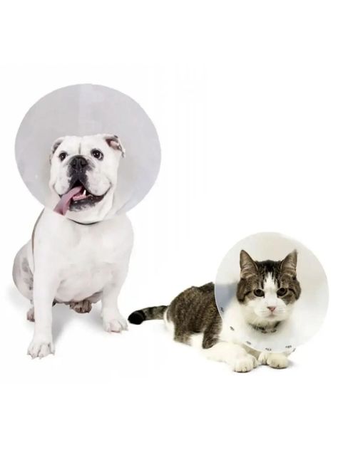 Collar Isabelino Para Mascotas Buster Classic 10 Cm-3