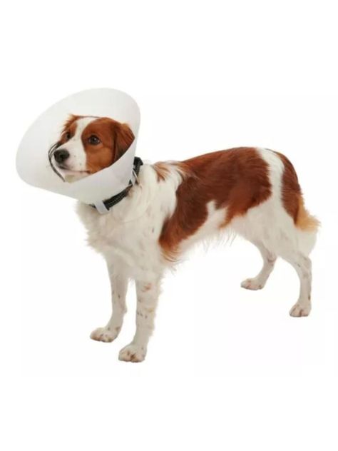 Collar Isabelino Para Mascotas Buster Classic 10 Cm-4