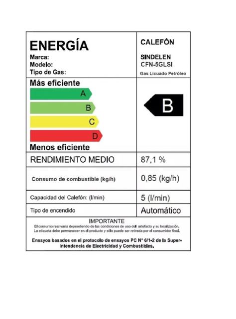 Calefon Sindelen 5 Lts Glp Tiro Natural Gas Licuado Plateado-2