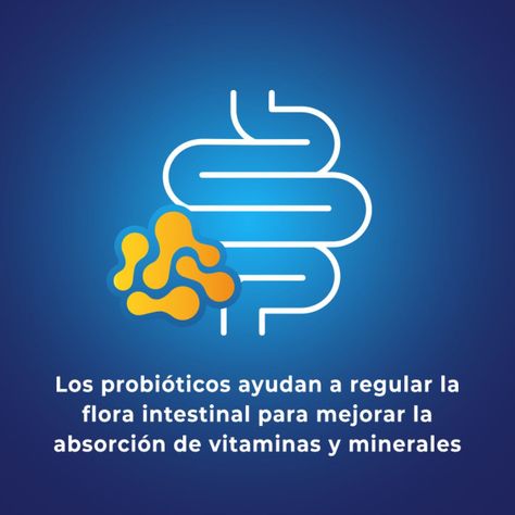 Pack 60+30 Bion 3 Vitaminas, Minerales Y Probióticos-5