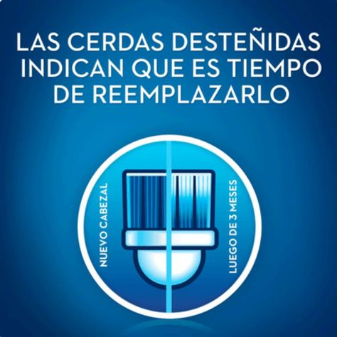 Repuestos De Cepillo Eléctrico Oral-B precisión clean 4 ud.-7