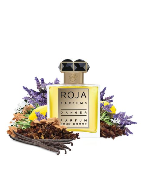 ROJA PARFUMS ROJA DANGER POUR HOMME PARFUM 50ML-2