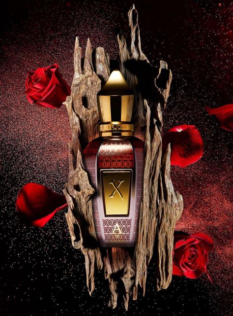 XERJOFF XJ OUD STARS ALEXANDRIA III - PARFUM 50ML-5