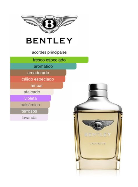 BENTLEY BENTLEY INFINITE EDT 100ML-2