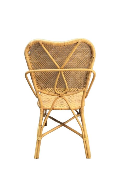 Silla Rattan Natural Origen-1