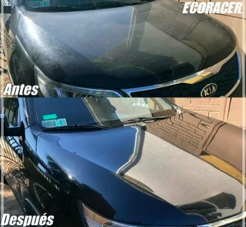 Lavado Ecológico en Seco con Cera Carnauba Botella 500ML-3