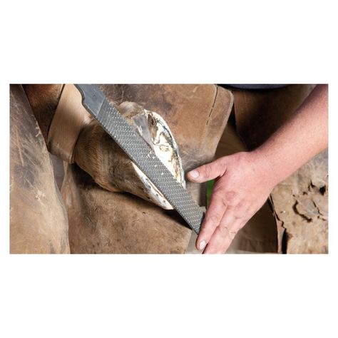 Lima Plana de 6" Pulgadas Herramienta Ferreteria-2