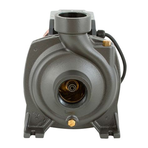 Bomba Superficie Centrifuga Gran Caudal 1,5HP BHFM6C-1
