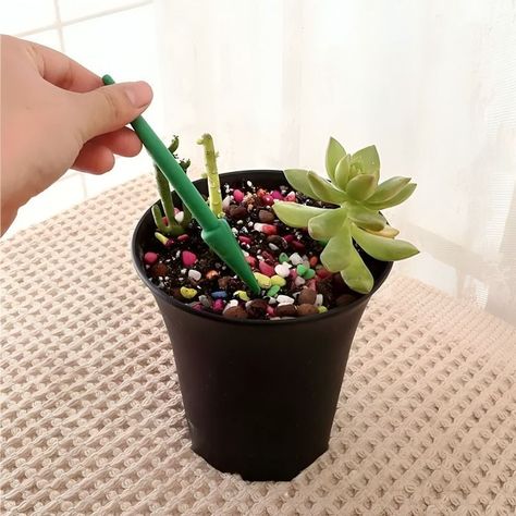 Kit Mini Herramientas Plantas Jardinería Suculentas 15piezas-3
