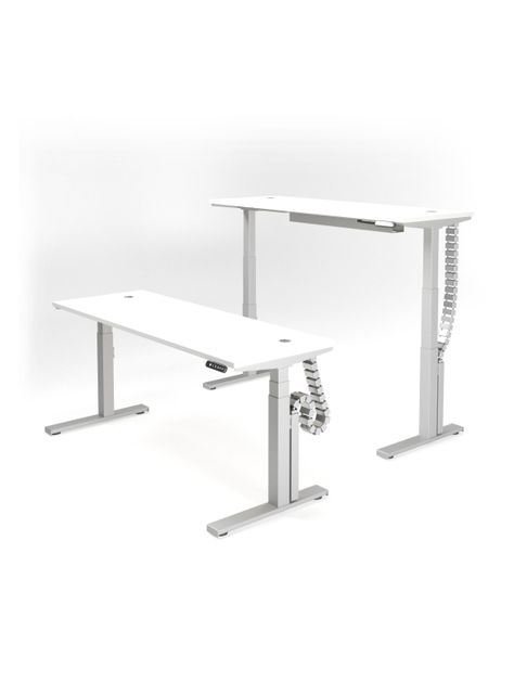 Escritorio Eléctrico Standing Desk 170x60cm AE-2