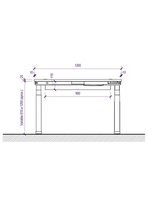 Escritorio Eléctrico Standing Desk 120x60cm AE -5