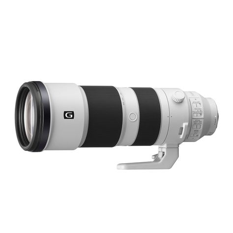 Lente montura E SEL200600G-0