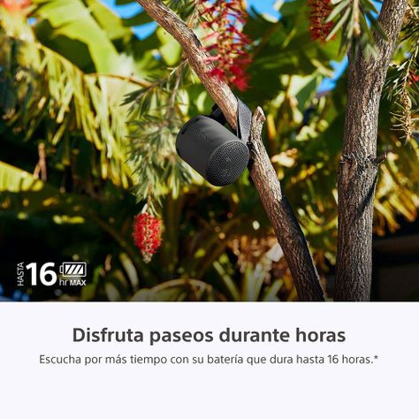 Parlante inalámbrico portátil XB100 Negro-2