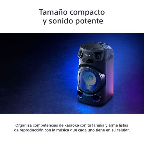 Minicomponente MHC-V13-5