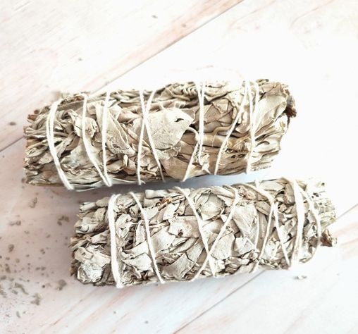 Salvia Blanca-0