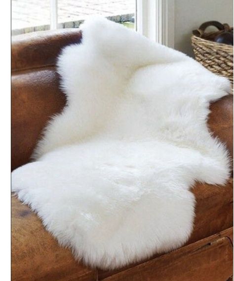 Alaska Animal -0