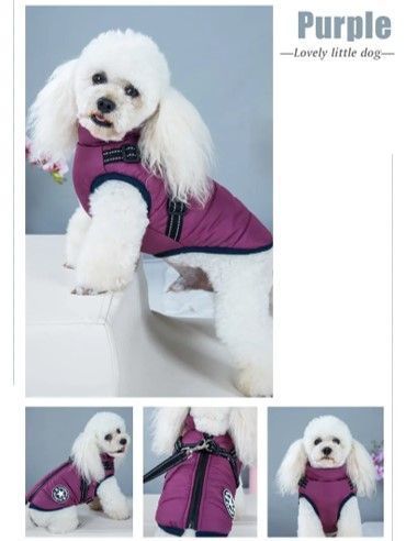 Parka Chaqueta Impermeable Reflectante para Mascotas Perro-2