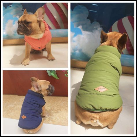 Parka Chaqueta Impermeable Premium Mascotas Perro-4