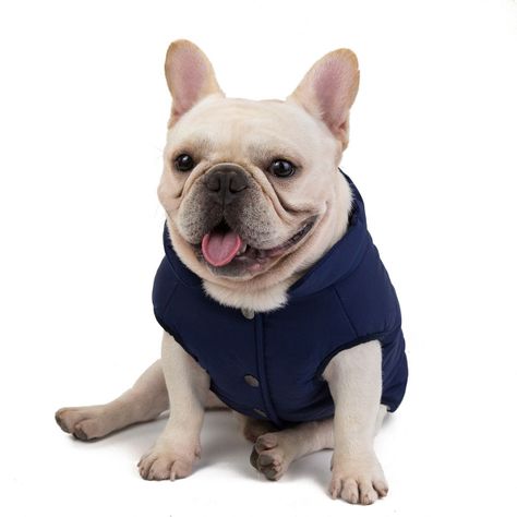 Parka Chaqueta Impermeable Premium Mascotas Perro-5