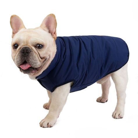 Parka Chaqueta Impermeable Premium Mascotas Perro-6