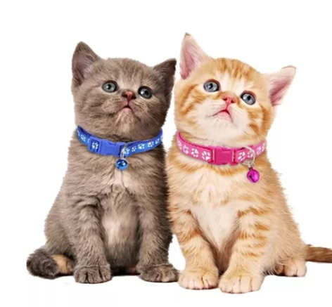 Collar Con Cascabel Anti Ahorque Para Mascotas Gatos Perro-1