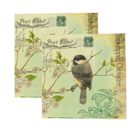 Pack 4 Paquetes De Servilletas Diseño Pájaro-0