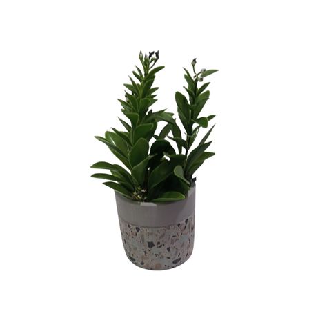 Planta Artificial Maceta Cemento 23 Cm-0