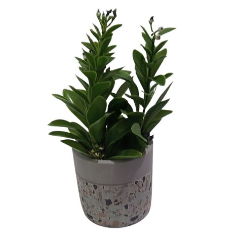 Planta Artificial Maceta Cemento 23 Cm-1