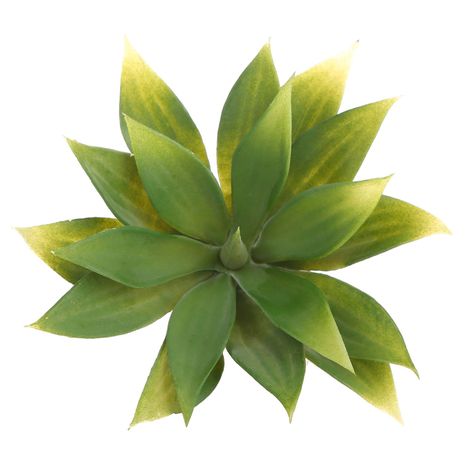 Suculenta artificial-0