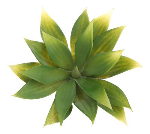 Suculenta artificial-1